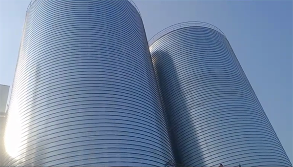 平塘2座混凝土高架卷板仓